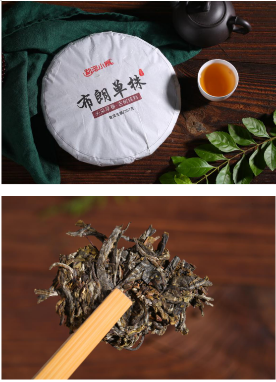 勐洛小寨古树普洱茶  为何比普通普洱茶口感香气好？