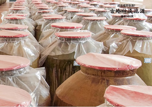 传统浸泡工艺与现代科学管理的碰撞 古岭神浸泡酒泡足360天！	