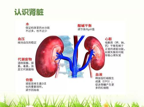 2021年“世界肾脏日”暨中德肾病知名专家联合会诊