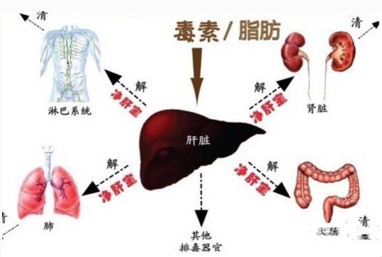 微信截图_20170408154415.png