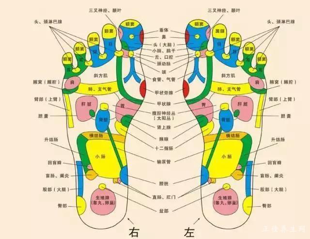 微信图片_20170414170750.jpg