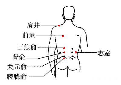 t0102eb240ed4413d98.jpg