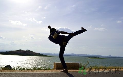 跆拳道怎么分段