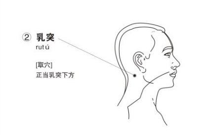 乳突穴:同侧头痛及脑部供血状态的反应点,此点有压痛,临床表现有偏