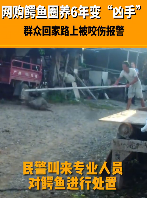 男子网购鳄鱼养6年咬伤邻居 鳄鱼已经被妥善处理