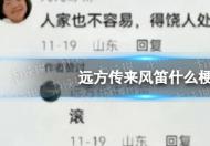 远方传来风笛什么梗什么意思 远方传来风笛滚哥是怎么回事？